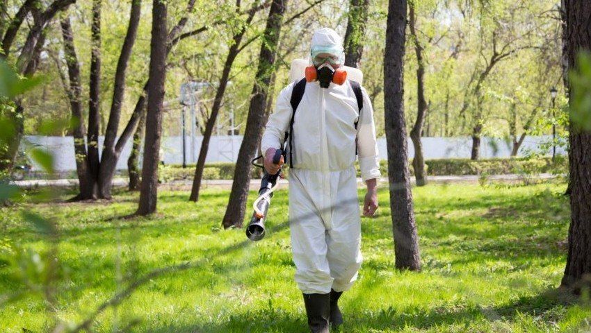 Уничтожение комаров в Саранске